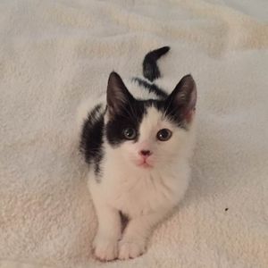 Meet your Posher, Barbara